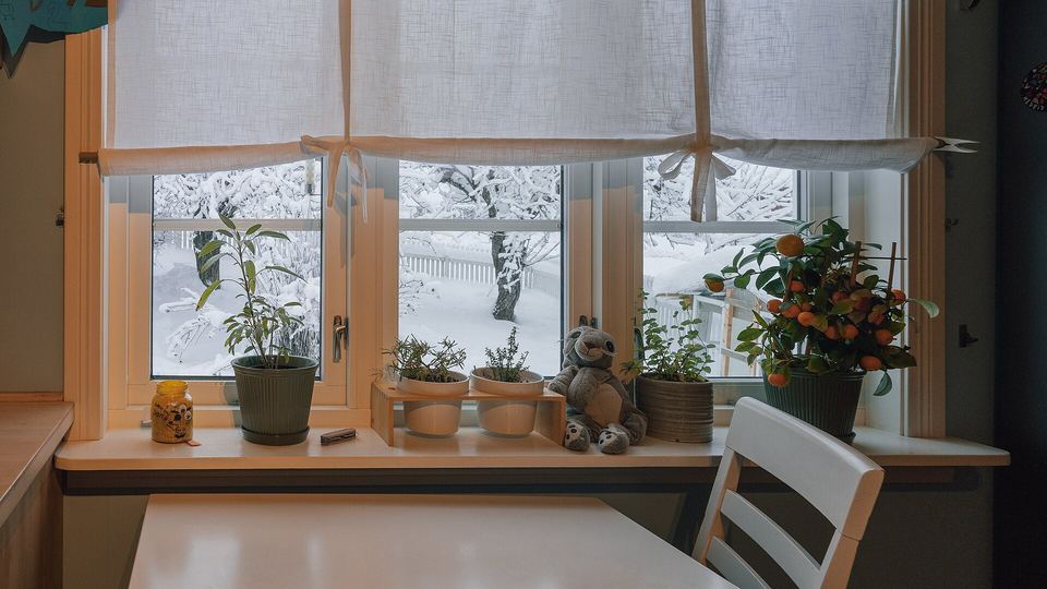 Kitchen window with potted plants on the sill and a snowy yard outside